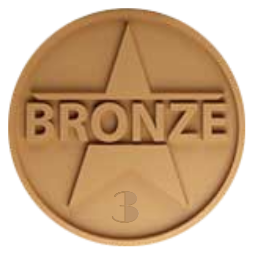 bronz érem